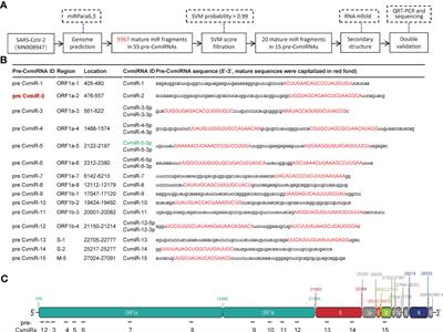 Identification of a SARS-CoV-2 virus-derived vmiRNA in COVID-19 patients holding potential as a diagnostic biomarker